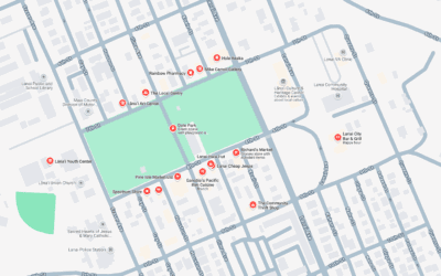 Guide & Tips for Shopping in Lāna‘i City